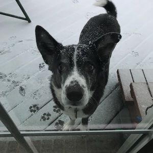 Meet your Posher, Logan